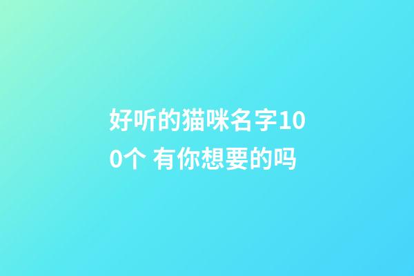 好听的猫咪名字100个 有你想要的吗